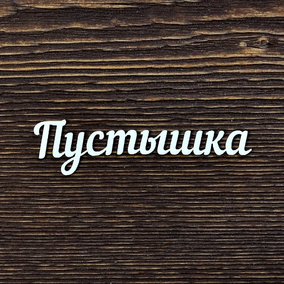 Пустышка