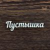 Пустышка