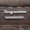 Документы чемпиона