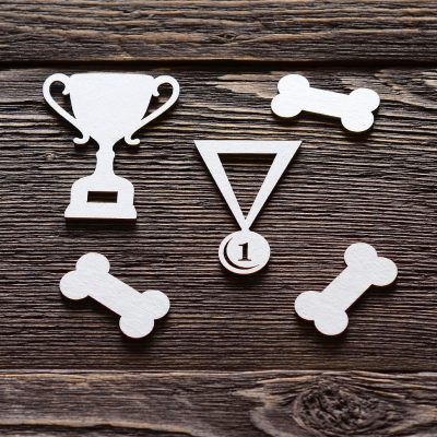 "Награждение" набор для оформления альбома собаки.